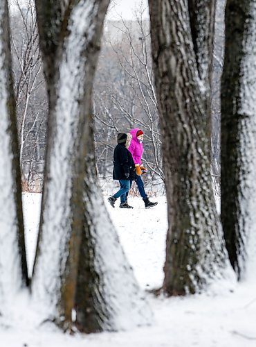 JOHN WOODS / WINNIPEG FREE PRESS
People walk in Elzear-Goulet Memorial Park Sunday, December 10, 2023. 

Reporter: Tyler