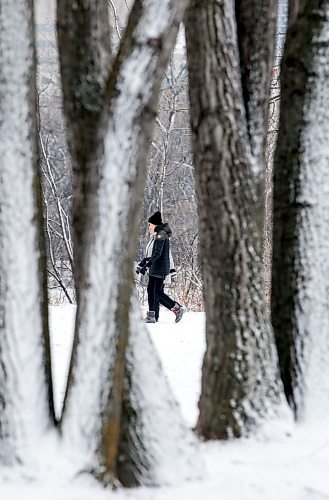 JOHN WOODS / WINNIPEG FREE PRESS
People walk in Elzear-Goulet Memorial Park Sunday, December 10, 2023. 

Reporter: Tyler