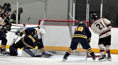 Crocus Plainsmen sniper Landan Nadeau scored his first of three goals against Birtle Falcons goalkeeper Aiden Stebeleski during first-period action on Sunday night at Flynn Arena. Now fifth in league scoring with 14 goals and 28 points, Nadeau paced his team to an 8-2 win over the Falcons.
(Photo by Jules Xavier/The Brandon Sun)