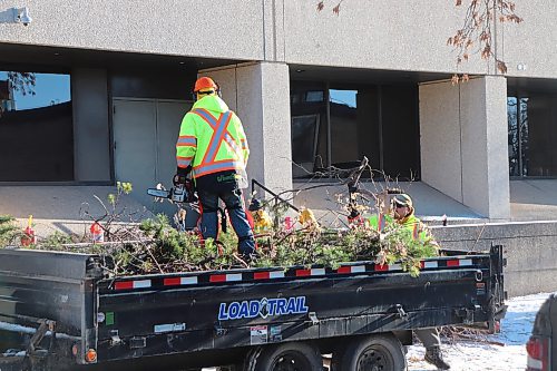 Contractors work to clear hedges and greenery from the perimeter of RCMP's D Division headquarters on Dec. 14, 2023, in an effort to improve sightlines for security cameras and deter potential property crimes. (Tyler Searle / Winnipeg Free Press)