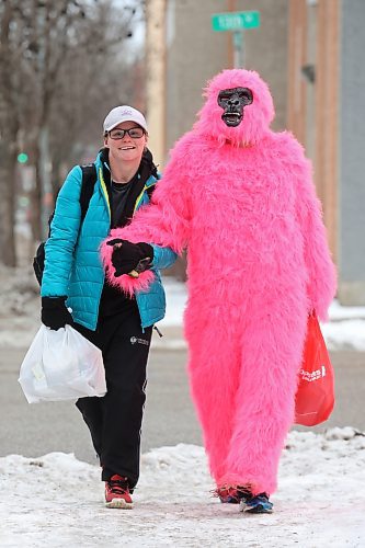 Laurissa Poets walks along Rosser Avenue with a friend in a pink gorilla costume on a grey yet mild Friday afternoon. 
(Tim Smith/The Brandon Sun)