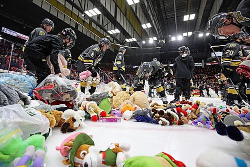 16122023
Brandon Wheat Kings players collect stuffed toys after the Wheaties scored their first goal against the Moose Jaw Warriors during Teddy Bear Toss night at Westoba Place on Saturday evening. The collected stuffed animals go to the Brandon-Westman Christmas Cheer Registry and the Westman Traditional Christmas Dinner. Fans also donated warm clothing, gifts and non-perishable goods. (Tim Smith/The Brandon Sun)