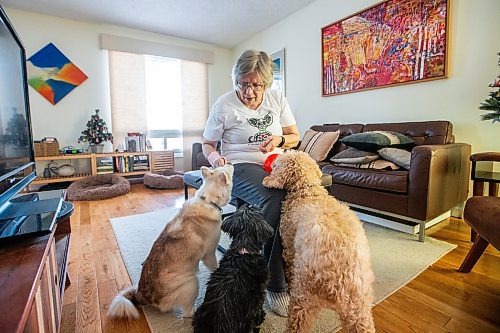 MIKAELA MACKENZIE / WINNIPEG FREE PRESS
	
Judy Waytiuk, who just had a hip replacement done in Fargo last week (one of the last out-of-province surgeries before the program was discontinued), with her pups Quimmik (left), Poco, and Wizzo in her home in Winnipeg on Tuesday, Dec. 19, 2023. For Katie story.
Winnipeg Free Press 2023