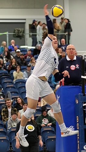 Jens Watt shifted from libero to left side and has been a massive contributor at the net while remaining one of the Bobcats' top serve receive and defensive players. (Thomas Friesen/The Brandon Sun)