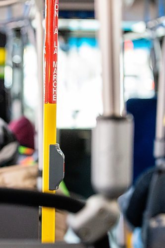 MIKAELA MACKENZIE / WINNIPEG FREE PRESS
	
Winnipeg Transit buses on Graham Avenue on Wednesday, Dec. 20, 2023. For transit series.
Winnipeg Free Press 2023