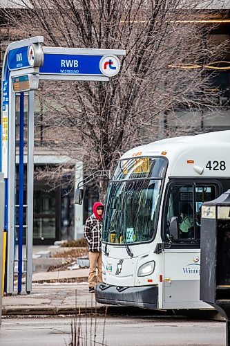 MIKAELA MACKENZIE / WINNIPEG FREE PRESS
	
Winnipeg Transit buses on Graham Avenue on Wednesday, Dec. 20, 2023. For transit series.
Winnipeg Free Press 2023