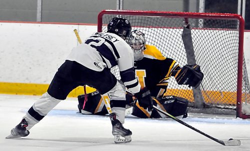 Down 3-1 after one period to the visiting fourth-place Neepawa Tigers, Vincent Massey forward Brady Wiltsey (2) scored the game-winner, his eighth of the season, on goalie Harley Smith-Bellisle nine minutes into the third period. (Jules Xavier/The Brandon Sun)