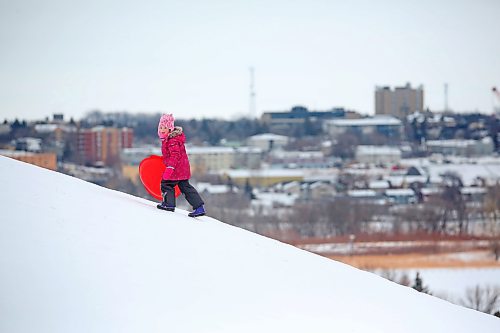 Six-year-old Madison MacDonald from Minto walks her saucer sled up Hanbury Hill on a windy afternoon in February. (Matt Goerzen/The Brandon Sun)