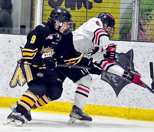 Known for his offensive exploits, Brandon Wheat Kings sniper Jaxon Jacobson (9) plays a 200-foot game, battling hard along the boards to retrieve pucks he dishes off to teammates. Here, he battles with Pembina Valley Hawks defenceman Spencer Sabourin (6) for position Thursday night, retrieving the puck and recording one of his three assists moments later after setting up Brady Turko. (Photo Jules Xavier/The Brandon Sun)