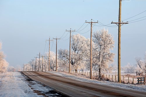 22122023
Hoar frost clings to trees along Grand Valley Road west of Brandon on Friday.
(Tim Smith/The Brandon Sun)