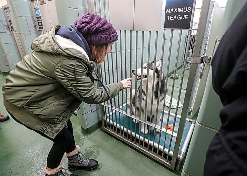 JOHN WOODS / WINNIPEG FREE PRESS
Calista Hiebert says hello to a dog as she visits an open house at the Animal Services as in Winnipeg Monday, December  25, 2023. 

Reporter: standup