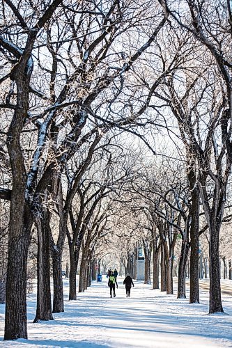 MIKAELA MACKENZIE / WINNIPEG FREE PRESS
	
Tracy Hoilett (left) and Carrie Schaepe walk among frosty trees in Assiniboine Park on Thursday, Dec. 28, 2023. Standup.
Winnipeg Free Press 2023