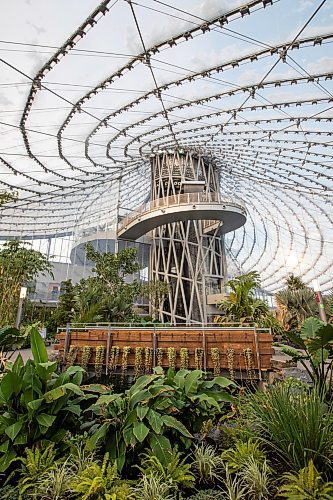 Daniel Crump / Winnipeg Free Press File The main spire of the Leaf features a six story waterfall that feeds into a pond in the tropical biome. The new indoor gardens in Assiniboine Park will open to paying customers soon. November 19, 2022.