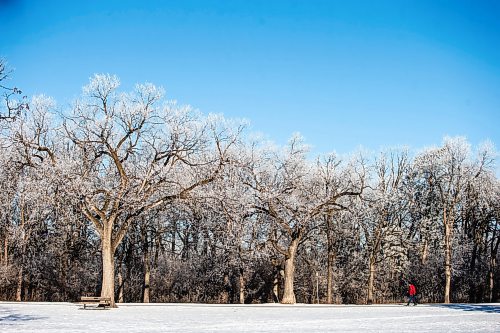 MIKAELA MACKENZIE / WINNIPEG FREE PRESS
	
Terry Bowe enjoys the frosty trees and bluebird skies in Assiniboine Park on his dailiy morning walk on Thursday, Dec. 28, 2023. Standup.
Winnipeg Free Press 2023