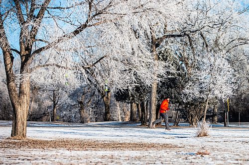 MIKAELA MACKENZIE / WINNIPEG FREE PRESS
	
Mike Szalai goes for a run among frosty trees in Assiniboine Park on Thursday, Dec. 28, 2023. Standup.
Winnipeg Free Press 2023