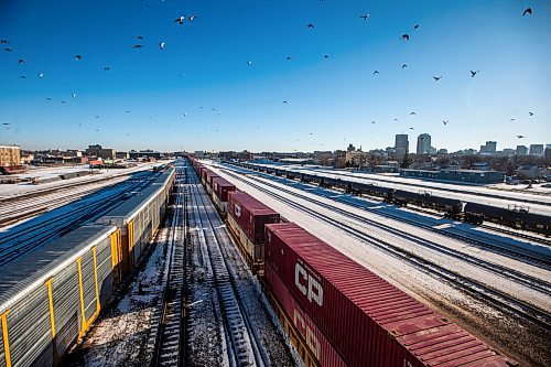 MIKAELA MACKENZIE / WINNIPEG FREE PRESS
	
Rail lines divide the city, as seen from the Salter Street bridge, on Thursday, Dec. 28, 2023. For CP rail line moving story.
Winnipeg Free Press 2023