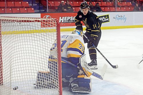 29122023
Jayden Wiens #14 of the Brandon Wheat Kings slips the puck past netminder Austin Elliott #31 of the Saskatoon Blades for a goal during WHL action at Westoba Place on Friday evening. (Tim Smith/The Brandon Sun)