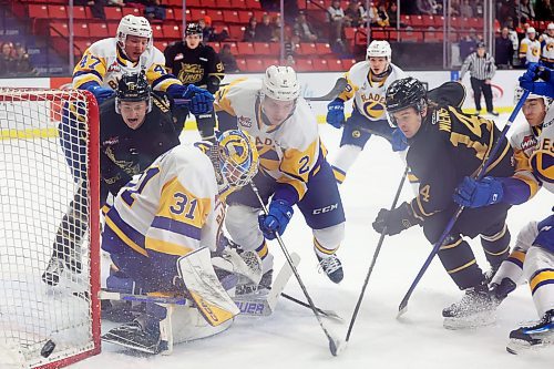 29122023
Rylen Roersma #18 and Jayden Wiens #14 of the Brandon Wheat Kings scramble for the puck in front of netminder Austin Elliott #31 of the Saskatoon Blades during WHL action at Westoba Place on Friday evening. (Tim Smith/The Brandon Sun)