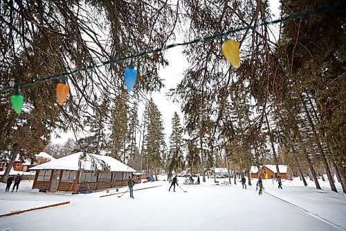 02012024
Visitors to Riding Mountain National Park play shinny at the skating rink and trail in Wasagaming on a mild Tuesday afternoon.
(Tim Smith/The Brandon Sun)