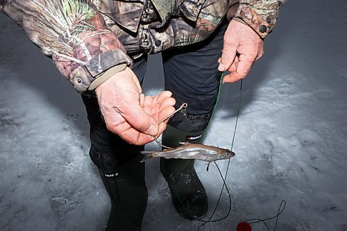 03012024
Roger Boulet of Brandon checks his bait on his Norwegian hook while ice-fishing at Pelican Lake with his daughter Genevieve Boulet on a mild and overcast Wednesday. Genevieve lives in Quebec and is home to visit family. The Boulet&#x2019;s also fished on the Souris River earlier in the week. 
(Tim Smith/The Brandon Sun)