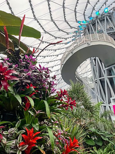 RUTH BONNEVILLE / WINNIPEG FREE PRESS

Local standup - The LEAF

BIOMES AT THE LEAF: Closed January 8 &#x2013; 10, 2024

Photo taken in the Tropical Biome.

The biomes will remain open this weekend before closing on Monday. This will be the last opportunity for visitors to enjoy the Celebration holiday display, which ends on Sunday, January 7.

The biomes at The Leaf will be closed to the public from Monday, January 8 through Wednesday, January 10, for a display change and garden maintenance.


Jan 5th, 2024