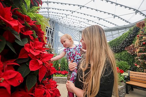RUTH BONNEVILLE / WINNIPEG FREE PRESS

Local standup - The LEAF

Teacher, Patricia Deley, enjoys her last day of winter holidays checking out the Celebration holiday display with her daughter, Roslyn (15 months), at the LEAF on Friday. 

Photo of the seasonal display taken in the  Mediterranean Biome. 


BIOMES AT THE LEAF: Closed January 8 &#x2013; 10, 2024

The biomes will remain open this weekend before closing on Monday. This will be the last opportunity for visitors to enjoy the Celebration holiday display, which ends on Sunday, January 7.

The biomes at The Leaf will be closed to the public from Monday, January 8 through Wednesday, January 10, for a display change and garden maintenance.


Jan 5th, 2024