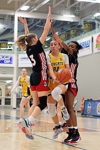 05012024
Faith Clearsky #23 of the Brandon University Bobcats slips between Anna Kernaghan #3 and Jennifer Kallon #9 of the University of Winnipeg Wesmen to take a shot on the net during university basketball action at the BU Healthy Living Centre on Friday evening.
(Tim Smith/The Brandon Sun)