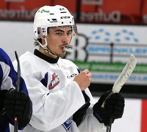 Overage forward Dawson Pasternak is leading the Victoria Royals in scoring this season with 39 points in 33 games since a trade from the Brandon WHeat Kings earlier this season. (Perry Bergson/The Brandon Sun)
Jan. 9, 2024