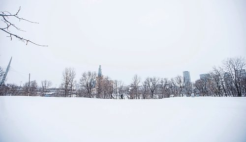 MIKAELA MACKENZIE / WINNIPEG FREE PRESS
	
Snow falls over the city at Elzear Goulet park on Wednesday, Jan. 10, 2024. Standup.
Winnipeg Free Press 2024
