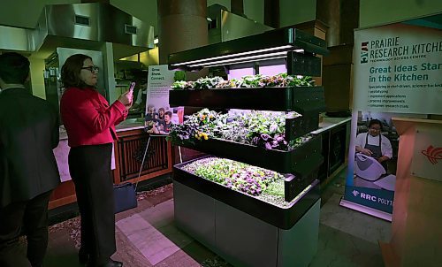 RUTH BONNEVILLE / WINNIPEG FREE PRESS

Biz - Les Verts Living 

Andrew Vickerson CEO Les Verts Living, holds a tray of fresh greens grown in Les Verts Living, an innovative Terrace Pro hydroponic growing system.  

The College&#x573; Prairie Research Kitchen recently partnered with Les Verts  to operate a system at the school that promotes sustainability and provides fresh produce for the school and clients. Based in Winnipeg and Vancouver, Les Verts Living developed its innovative soil-free, pesticide-free and stress-free hydroponic growing system called the Terrace Pro with the help of resources and expertise from RRC Polytech&#x573; Technology Access Centre for Aerospace and Manufacturing (TACAM) and Prairie Research Kitchen (PRK).

See Martin Cash story. 

Jan 11th, 2024