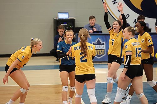 12012024
Brandon Bobcats players celebrate a point during university women&#x2019;s volleyball action against the University of Regina Cougars at the BU Healthy Living Centre on Friday evening (Tim Smith/The Brandon Sun)