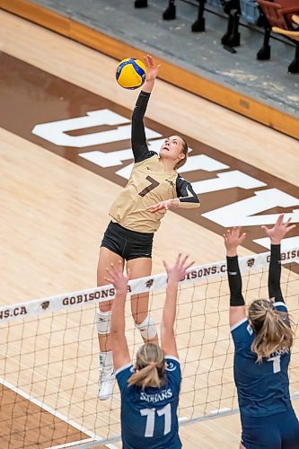 BROOK JOJNES / WINNIPEG FREE PRESS
The University of Manitoba Bisons hosts the visiting Trinity Western Spartans in Canada West women's volleyball action inside Investors Group Athletic Centre at the University of Manitoba's Fort Garry campus in Winnipeg, Man., Friday, Jan. 12, 2023. The Bisons earned a 3-1 (22-25, 25-18, 25-20, 25-22) victory over the Spartans. Pictured: U of M Bisons left side Ella Gray, who is in her third year, hits the volleyball over the net during fourth set action.
