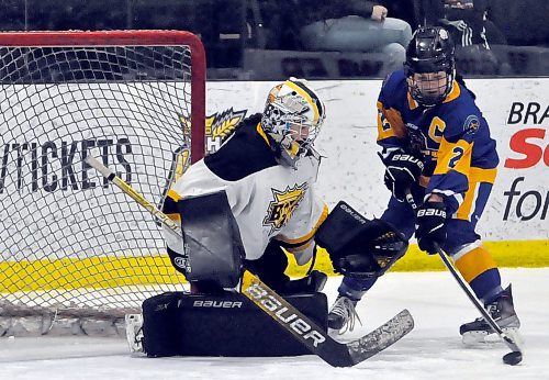 Yellowhead Chiefs captain Casey George (2) retrieved a rebound and slipped the puck past Brandon Wheat Kings goalie Morgan Goldie during first period action. It knotted the score 1-1, with Brandon scoring three goals in the third en route to a 4-2 triumph. (Jules Xavier/The Brandon Sun)