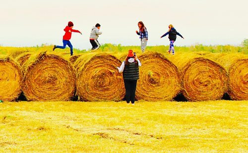 Gord Mackintosh / Winnipeg Free Press
Impromptu races atop hay bales at Langruth’s Harvest Festival.