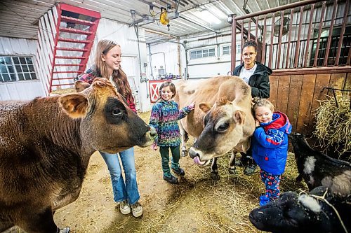 MIKAELA MACKENZIE / WINNIPEG FREE PRESS
	
Vegan kids Jessica Walker (18, left), Harley Tonge (eight), Fynn Solar (12), and Hale Tonge (five) with former dairy cows at the Little Red Barn Sanctuary on Thursday, Jan. 18, 2024. For green page story.
Winnipeg Free Press 2024