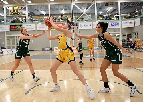 19012024
Katelynn Visser #10 of the Brandon University Bobcats looks to take a shot on the net during university women&#x2019;s basketball action against the University of Saskatchewan Huskies at the BU Healthy Living Centre on Friday evening. 
(Tim Smith/The Brandon Sun)