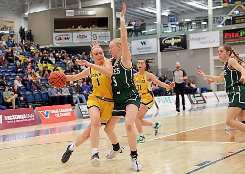 19012024
Cali Yates #1 of the Brandon University Bobcats tries to charge for the net past Anna Maelde #9 of the University of Saskatchewan Huskies during university women&#x2019;s basketball action at the BU Healthy Living Centre on Friday evening. 
(Tim Smith/The Brandon Sun)