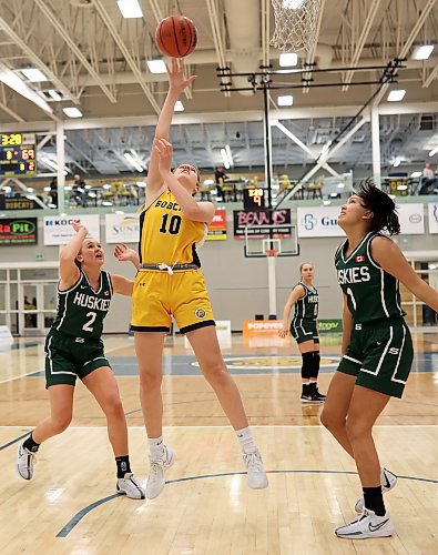 19012024
Katelynn Visser #10 of the Brandon University Bobcats takes a shot on the net during university women&#x2019;s basketball action against the University of Saskatchewan Huskies at the BU Healthy Living Centre on Friday evening. 
(Tim Smith/The Brandon Sun)