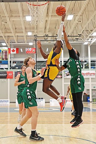 19012024
Elisha Ampofo #4 of the Brandon University Bobcats leaps for a shot on the net between Benjamin Rose #13 and Kymahni Bent #4 of the University of Saskatchewan Huskies during university men&#x2019;s basketball action at the BU Healthy Living Centre on Friday evening. 
(Tim Smith/The Brandon Sun)