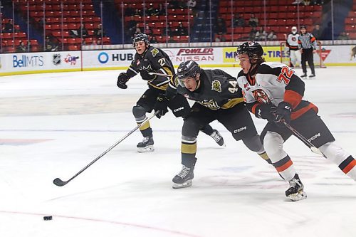 Medicine Hat Tigers forward Gavin McKenna (72) and Brandon Wheat Kings defenceman Andrei Maliavan (44) race for the puck under the watchful eye of Luke Shipley (27) during the first period in Western Hockey League action at Westoba Place on Sunday. (Perry Bergson/The Brandon Sun)
Jan. 21, 2024
