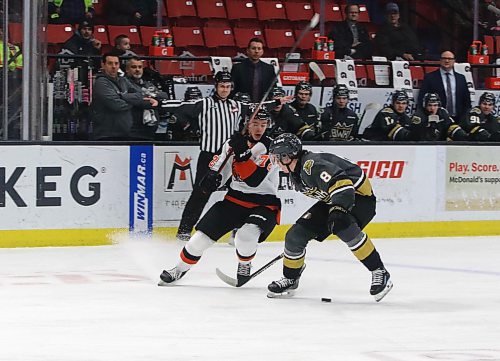 Medicine Hat Tigers forward Gavin McKenna (72) and Brandon Wheat Kings defenceman Quinn Mantei (8) battle for the puck during the first period in Western Hockey League action at Westoba Place on Sunday. (Perry Bergson/The Brandon Sun)
Jan. 21, 2024