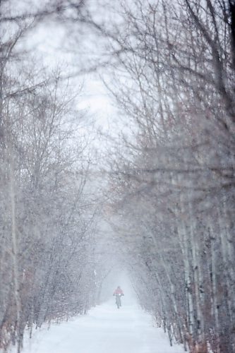 MIKAELA MACKENZIE / WINNIPEG FREE PRESS
	
Snow falls thickly over a cyclist navigating the Harte Trail near Elmhurst Road on Monday, Jan. 22, 2024. Standup.
Winnipeg Free Press 2024