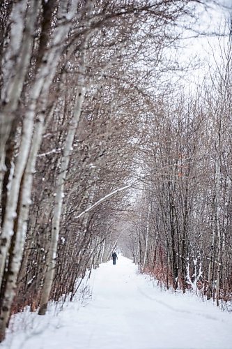MIKAELA MACKENZIE / WINNIPEG FREE PRESS
	
Bev Husak walks down the snow-covered Harte Trail near Elmhurst Road on Monday, Jan. 22, 2024. Standup.
Winnipeg Free Press 2024