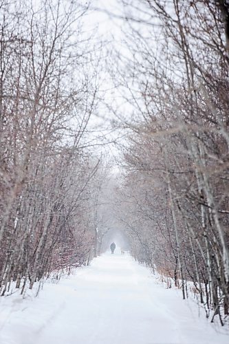 MIKAELA MACKENZIE / WINNIPEG FREE PRESS
	
Snow falls thickly over the Harte Trail near Elmhurst Road on Monday, Jan. 22, 2024. Standup.
Winnipeg Free Press 2024