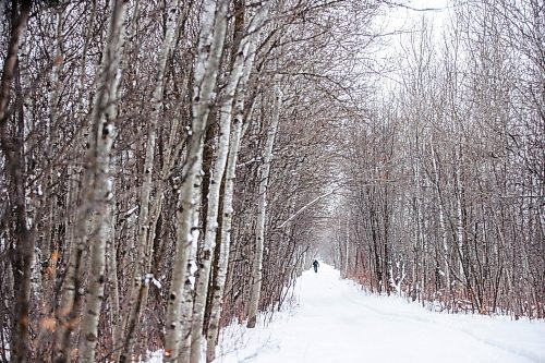 MIKAELA MACKENZIE / WINNIPEG FREE PRESS
	
Bev Husak walks down the snow-covered Harte Trail near Elmhurst Road on Monday, Jan. 22, 2024. Standup.
Winnipeg Free Press 2024