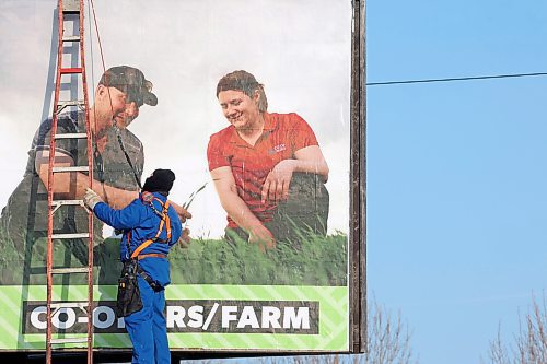 24012024
Jim Friesen with Robson Maintenance puts up a new billboard advertisement along 18th Street on a mild Wednesday morning.
(Tim Smith/The Brandon Sun)