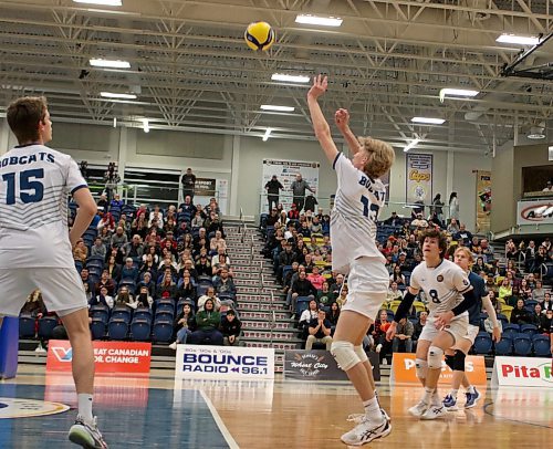 Brandon University Bobcats left side Liam Pauls passes the ball during his team's 3-0 sweep of the UBC Okanagan Heat in Canada West men's volleyball action on Saturday.
 at the Healthy Living Centre on Saturday. (Photos by Thomas Friesen/The Brandon Sun)