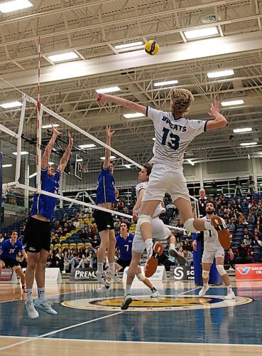 Brandon University Bobcats left side Liam Pauls winds up for one of his six kills at the Healthy Living Centre on Saturday during his team's 3-0 sweep of the UBC Okanagan Heat in Canada West men's volleyball action. (Photos by Thomas Friesen/The Brandon Sun)
