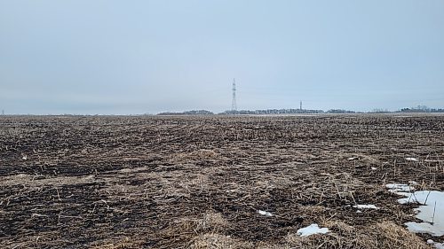 A bare field east of Neepawa. Farmers are hoping that February and March will feature more snow and later rain to help with the growing season (Miranda Leybourne/The Brandon Sun)