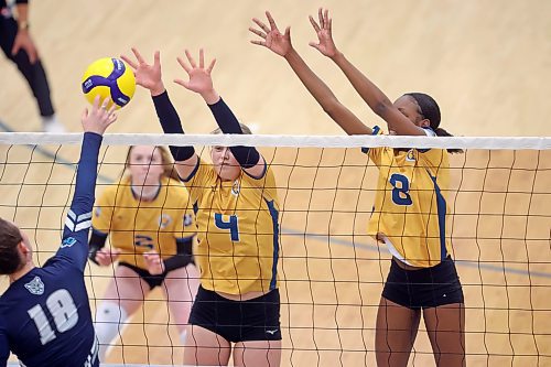 02022024
Georgia Johnson #4 and Nerissa Dyer #8 of the Brandon University Bobcats try to block a spike by Jessica Osczevski #18 of the Mount Royal University Cougars during women&#x2019;s university volleyball action at the BU Healthy Living Centre on Friday evening.
(Tim Smith/The Brandon Sun)